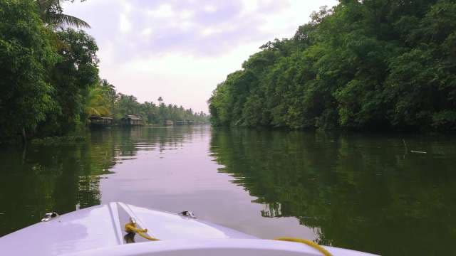 Serene Boat Ride Through Kerala Backwaters
