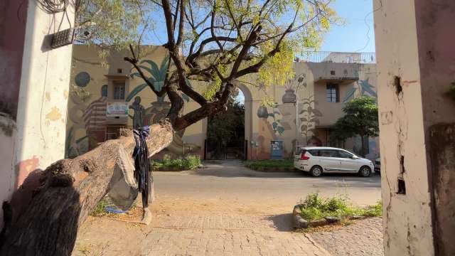 Urban Street Art and Tree in Sunny Neighborhood Scene