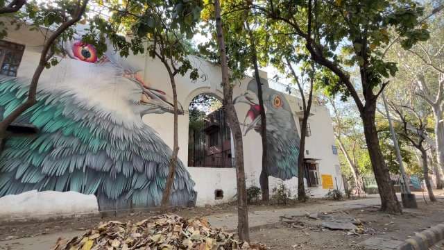 Colorful Bird Street Art on Urban Building Wall
