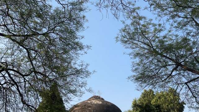 Ancient Dome Amid Verdant Trees in Delhi Monument Park