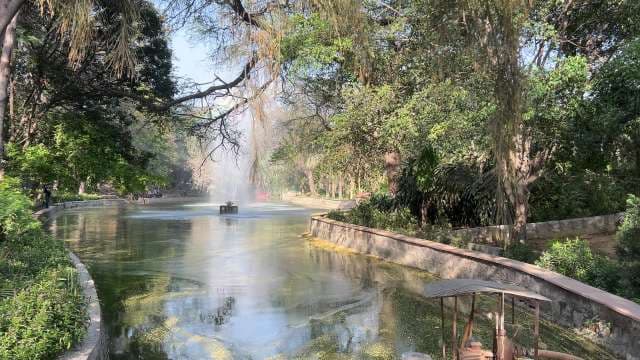 Serene Park Fountain and Lush Greenery on a Sunny Day