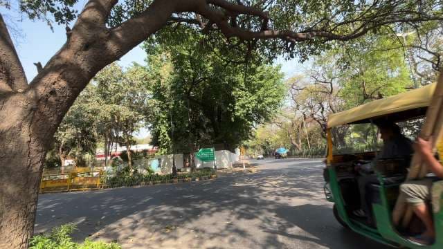 Rickshaw Ride Through Leafy Streets of New Delhi