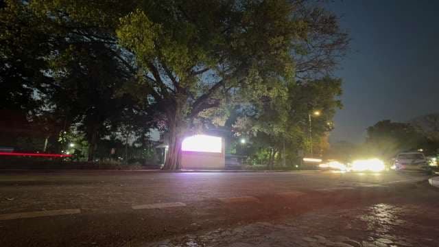 Nighttime City Street With Car Lights and Trees
