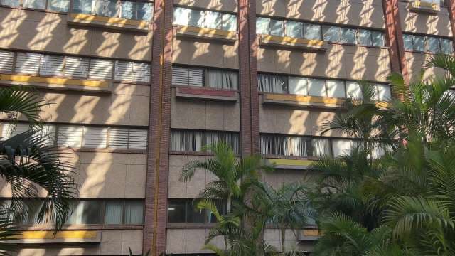 Modern Building Facade with Lush Greenery and Sunlight Patterns