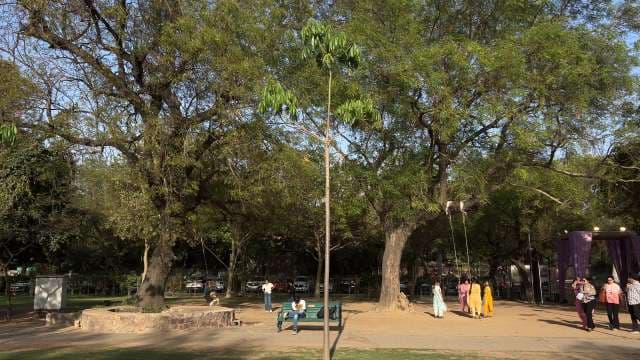 Families Enjoy a Sunny Day at Urban City Park