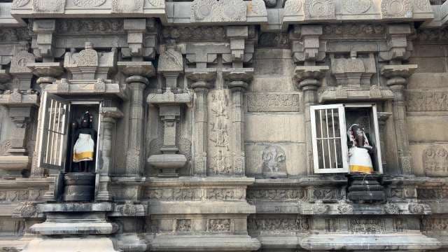 Intricate Stone Carvings on South Indian Hindu Temple Wall