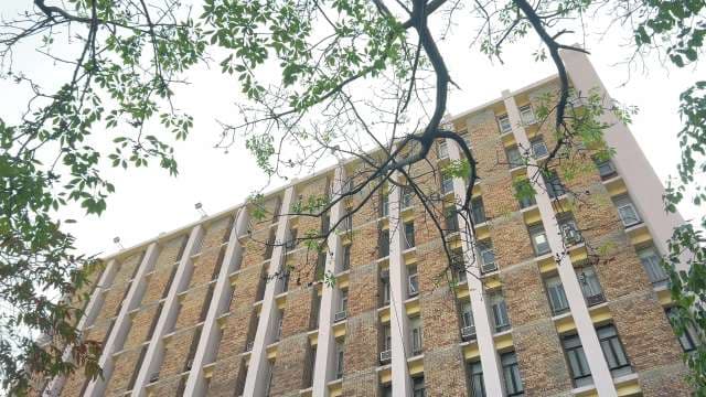 Modern Brick Facade Building With Tree Branches in Foreground