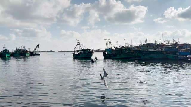 Fishing Boats Anchored at Veraval Harbor on a Cloudy Day