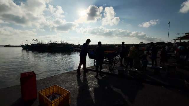 Busy Morning at Coastal Fish Market Dock