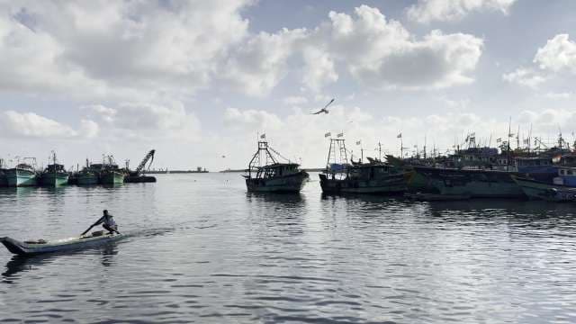 Fishing Boats Anchored at Rameswaram Harbor on a Sunny Day