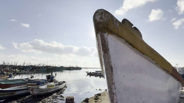 Traditional Fishing Boats Anchored at Bustling Harbor
