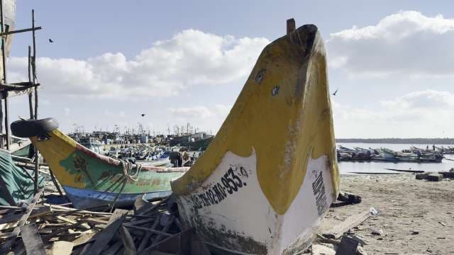 Colorful Fishing Boats Docked at Indian Coastal Harbor