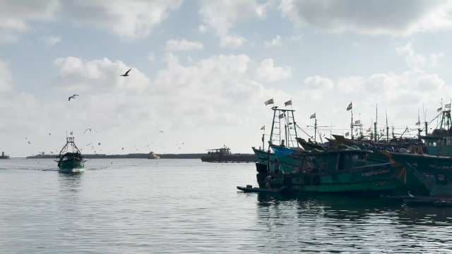 Fishing Boats Return to Harbor at Dusk in a chennai Port