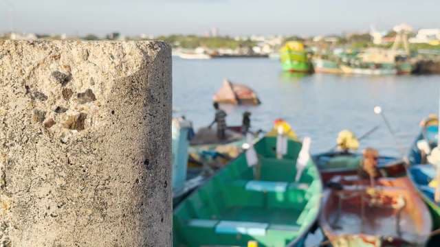 Colorful Fishing Boats Docked at Sunlit Waterfront