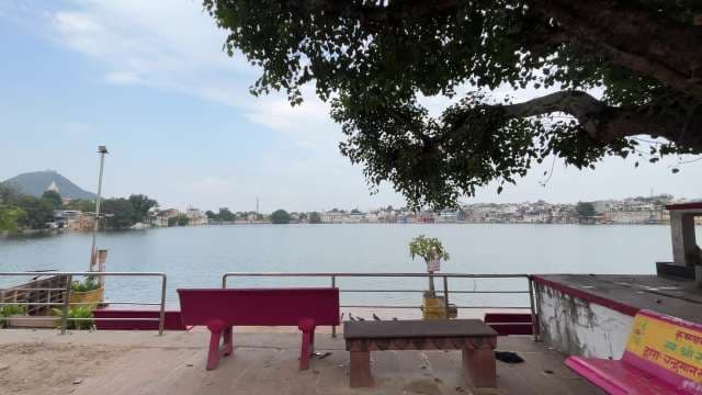 Peaceful Lakeside View With Benches Under Tree Shade