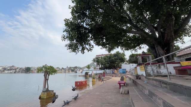 Scenic Lakeside Promenade With Benches and Large Trees
