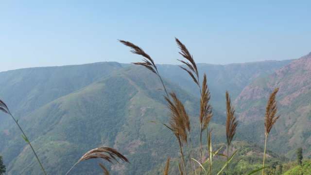 Kongthong Village, Meghalaya - Serene Green Mountain Landscape With Tall Grass