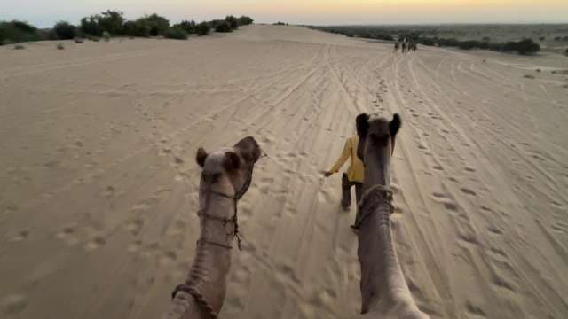 Camel Safari Adventure Across Desert Dunes at Sunset