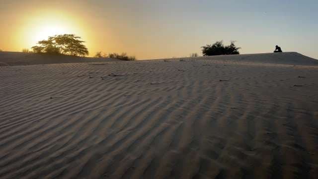 Golden Desert Sunset Over Rippling Sand Dunes