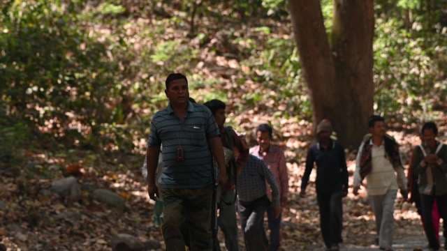 Forest Rangers Patrolling in Indian Wildlife Sanctuary