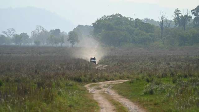 Safari Jeep Adventure Through Wild Grasslands and Forest