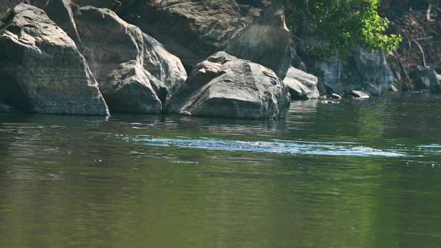 Tranquil River Scene With Large Rocks and Clear Water