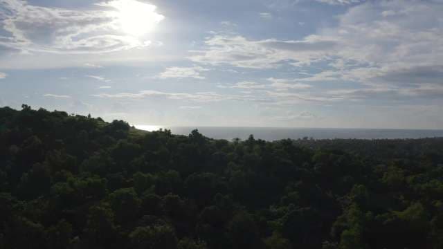 Peaceful Sunrise Over Lush Tropical Forest and Ocean