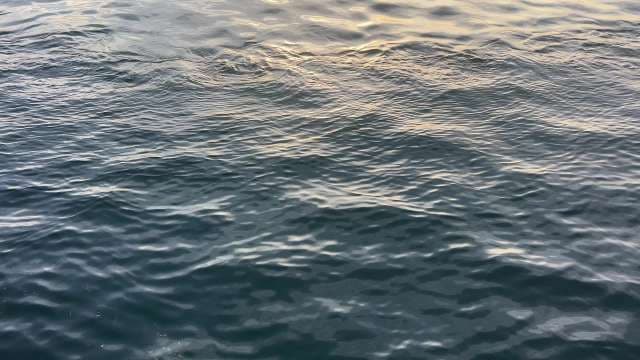 Gentle Ocean Waves Reflecting Soft Evening Light