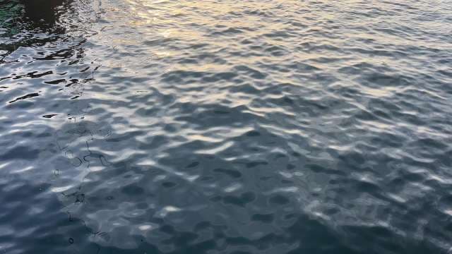 Calm Surface Water With Gentle Ripples at Sunset