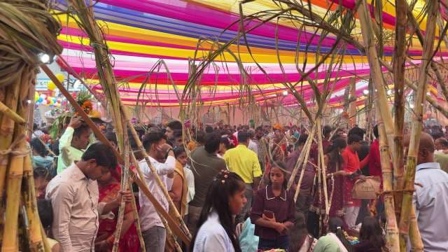 Chhath Puja Celebration With Colorful Tents and Sugarcane Offerings