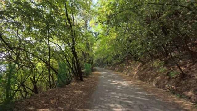 Sweetleaf Nature Trail: Urban Wilderness Hiking in Jim Corbett