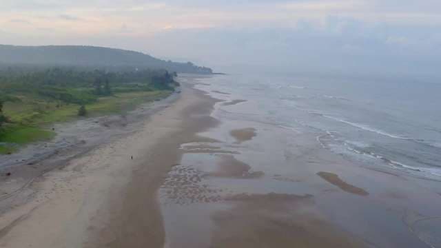 Aerial Coastal Landscape: Sandy Beach & Forested Shoreline