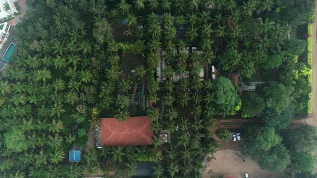 Luxury Tropical Resort Aerial View with Palm Trees