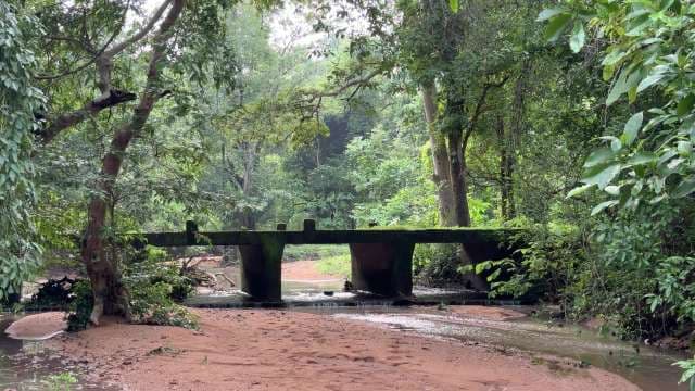 Car Crossing An Ancient Concrete Bridge Through Tropical Jungle