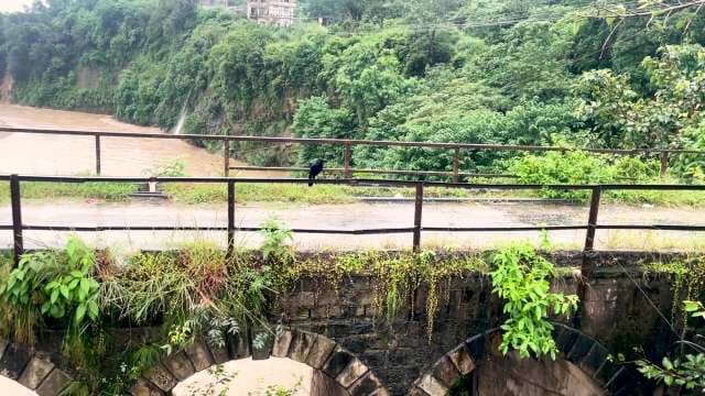 Historic Stone Bridge Over Lush River Valley