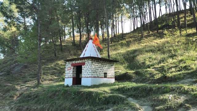 Historic Hilltop Temple Among Tall Pine Trees