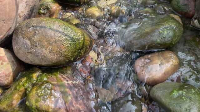 Coastal Tidepool: Moss-Covered Rocks and Flowing Water