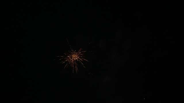 Golden Sparkler Bursting in Night Sky