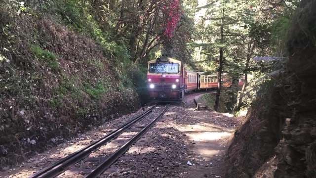 Kalka Shimla Toy Train Through Lush Forest Canopy