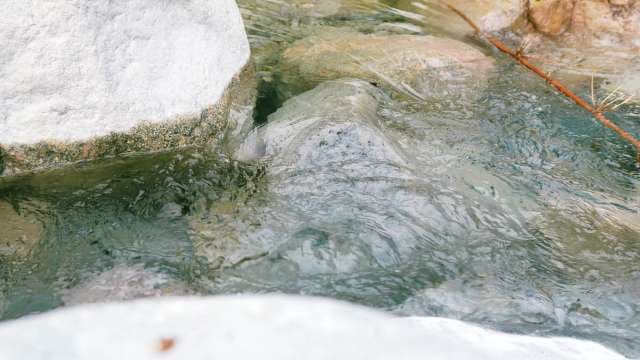 Crystal Clear Spring Waters: Rainbow Falls
