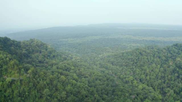 Stunning Aerial View of Dense Tropical Forest and Misty Mountains