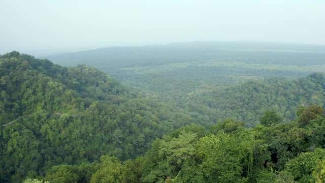 Panoramic View of Lush Green Forest Mountains and Misty Valleys