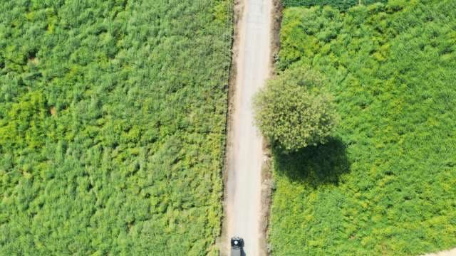 Aerial View of a Lone Road Through Lush Green Fields