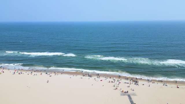 Stunning Aerial View of a Bustling Sandy Beach and Blue Ocean
