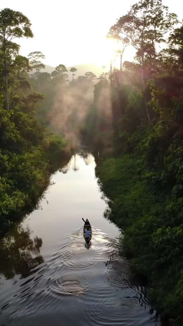 Sunrise Canoe Journey Through Tropical Rainforest River