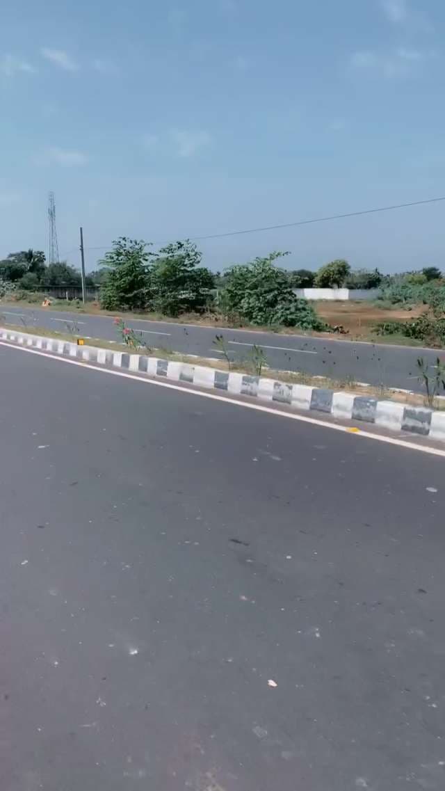 Sunny Rural Highway Road with Greenery and Clear Blue Sky