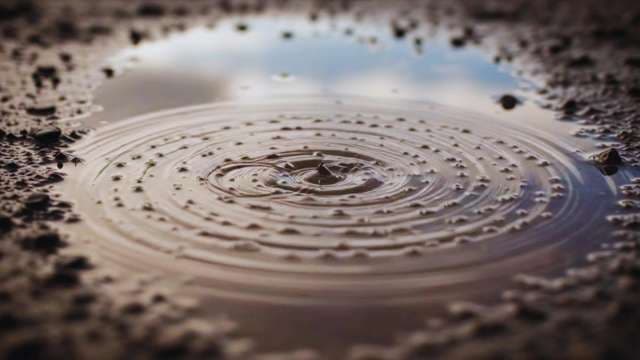 Macro Shot of Concentric Water Ripples in Muddy Puddle