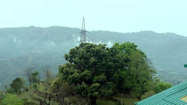 Misty Mountain Landscape with Electric Pylon and Lush Green Trees