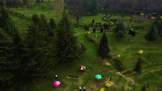 Aerial View of Lush Green Botanical Garden with Colorful Umbrellas