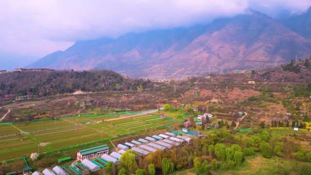 Aerial View of Tulip Garden in Srinagar Valley Kashmir